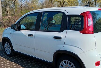 Fiat Panda 6.500 km 11.900 &euro; Wesel 46485