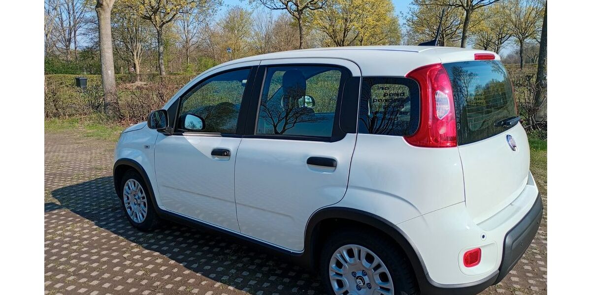 Fiat Panda 6.500 km 11.900 &euro; Wesel 46485