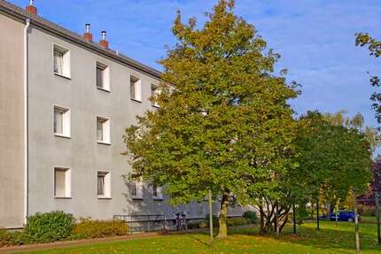 Wohnung Duisburg Huckingen - 2 Zimmer, 41 m&sup2;, 409&euro; | Angebot:26184522