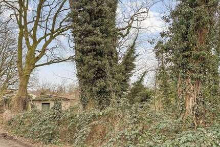 Grundstück Hamminkeln - 89.000&euro; | Angebot:25349564