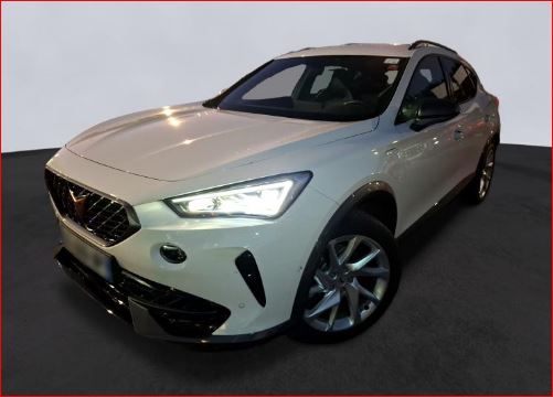 Cupra Formentor 22.080 km 25.890 &euro; Hünxe 46569