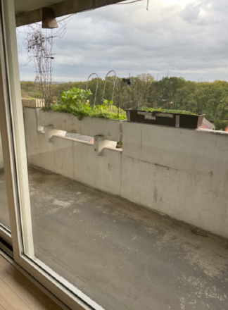 Etagenwohnung Voerde (Niederrhein) - 2.5 Zimmer, 65 m&sup2;, 309&euro; | Angebot:18910665