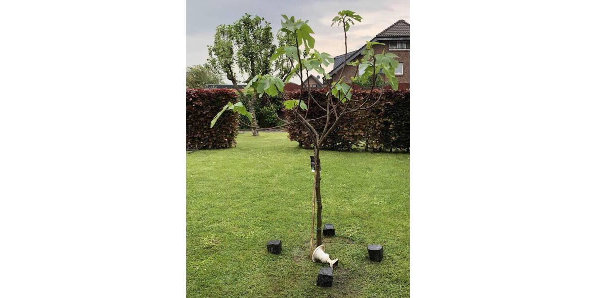 Doppelhaushälfte Wesel Schepersfeld - 5 Zimmer, 120 m&sup2;, 408.000&euro; | Angebot:26325725