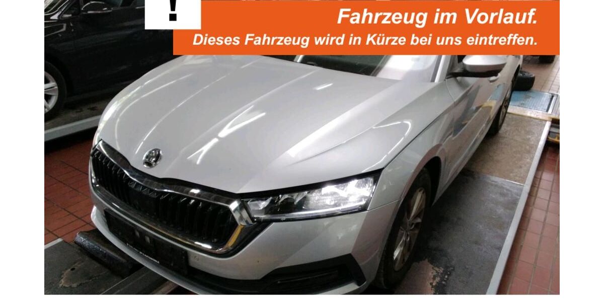 Skoda Octavia 92.580 km 19.790 &euro; Borken 46325