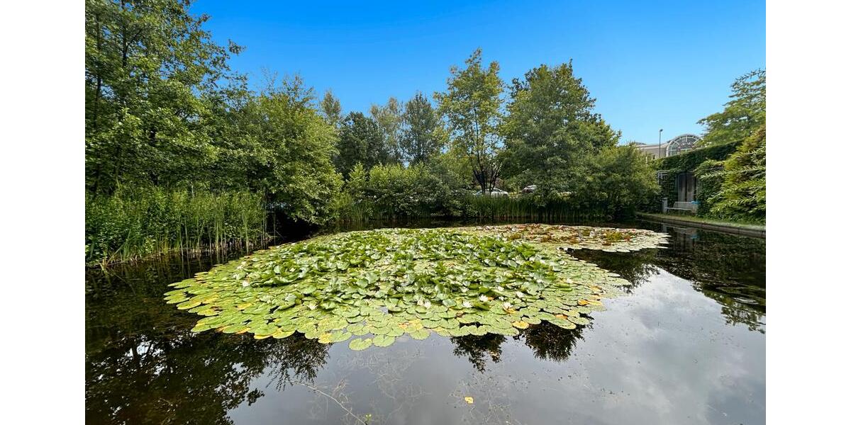 Gewerbeobjekt Essen Stadtbezirk II - 2.637&euro; | Angebot:23878488