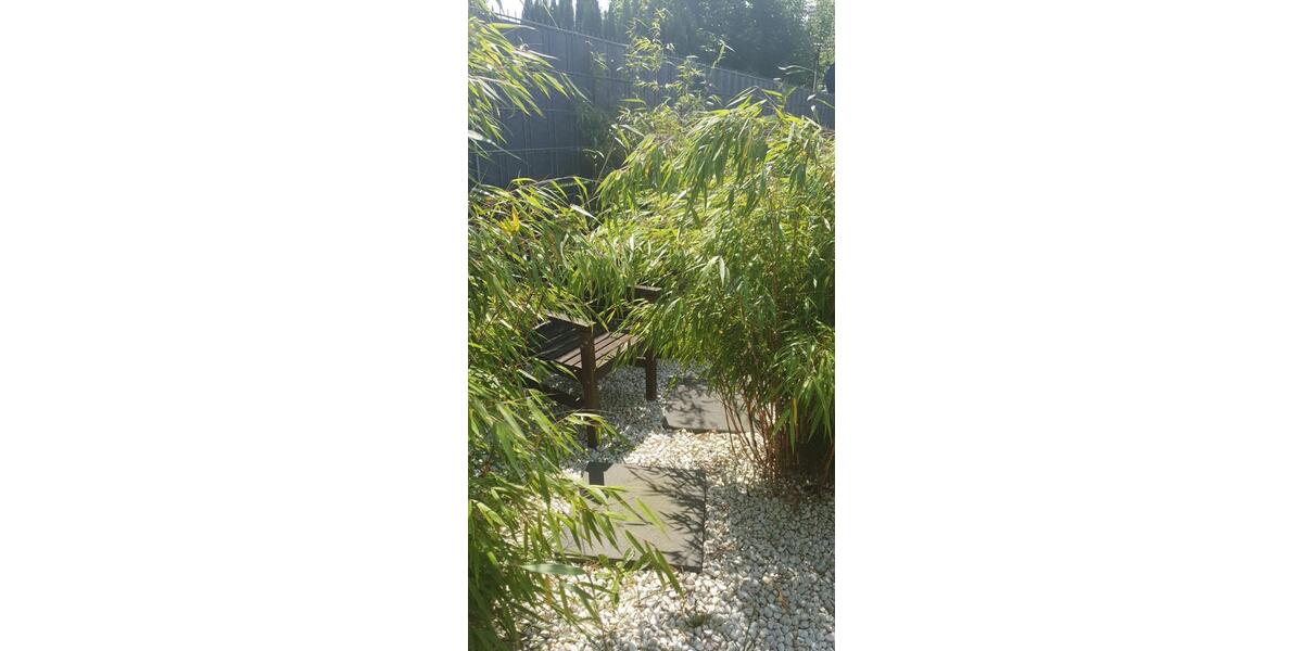 Doppelhaushälfte Gelsenkirchen Gelsenkirchen-Nord - 3 Zimmer, 76 m&sup2;, 235.000&euro; | Angebot:26262883